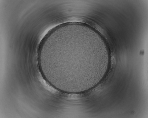 X0000114191116200911200930