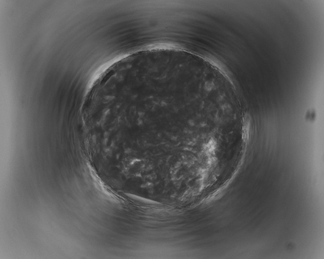 X0000114191117200911200930