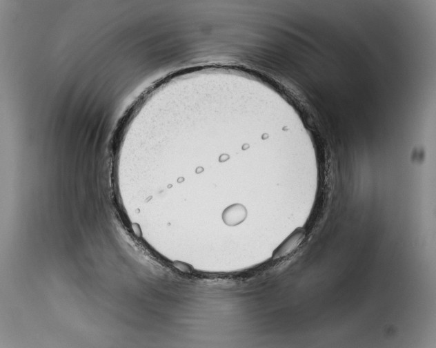 X0000114191118200911200930