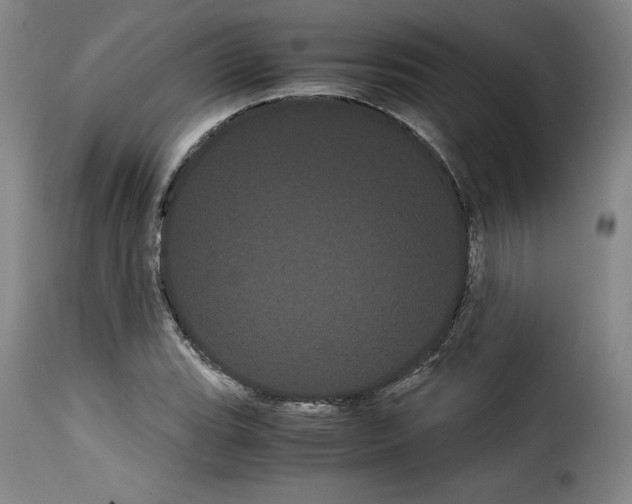 X0000114191119200911200930