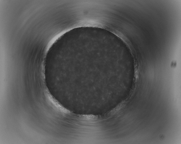 X0000114191120200911200930