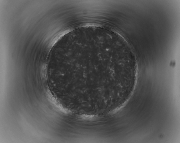 X0000114191121200911200930