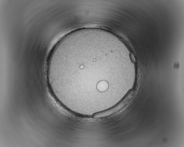 X0000114191122200911200930