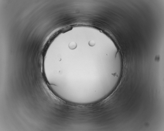 X0000114191123200911200930