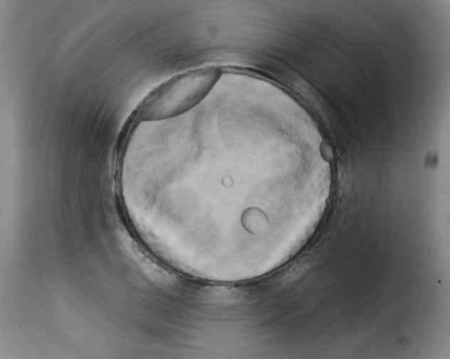 X0000114191124200911200930