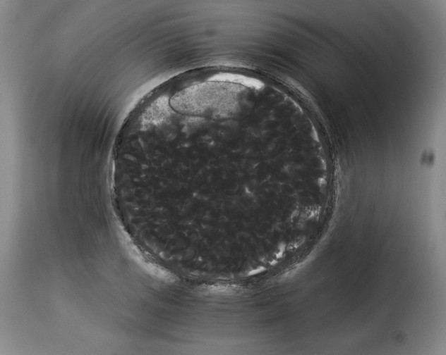 X0000114191125200911200930