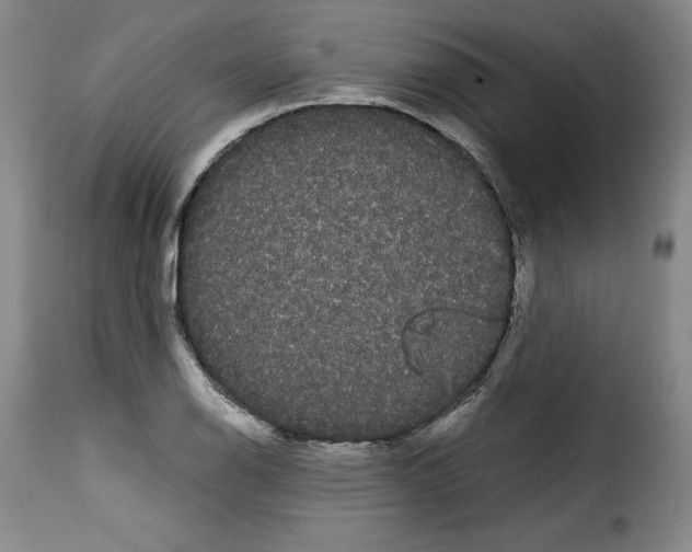 X0000114191126200911200930