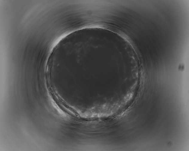 X0000114191127200911200930