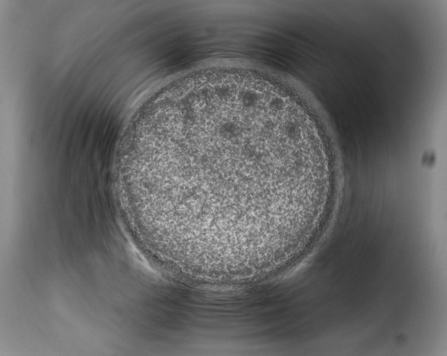 X0000114191129200911200930