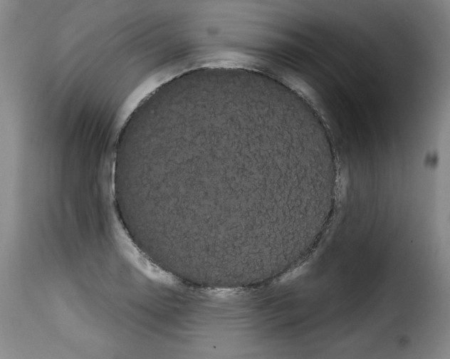 X0000114191130200911200930