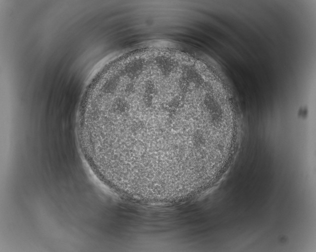 X0000114191133200911200930