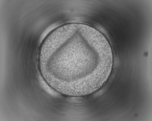 X0000114191138200911200930