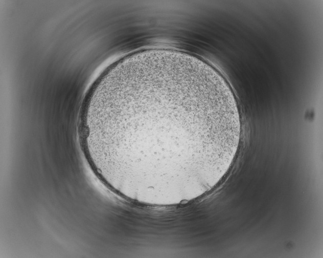 X0000114191139200911200930