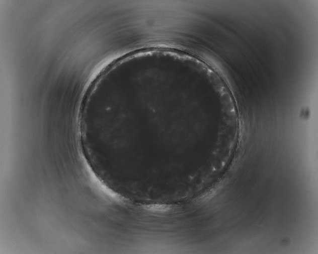 X0000114191141200911200930