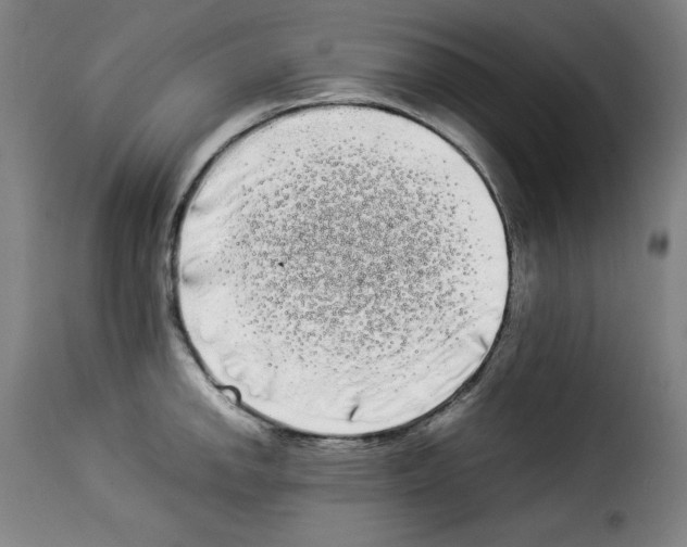 X0000114191142200911200930