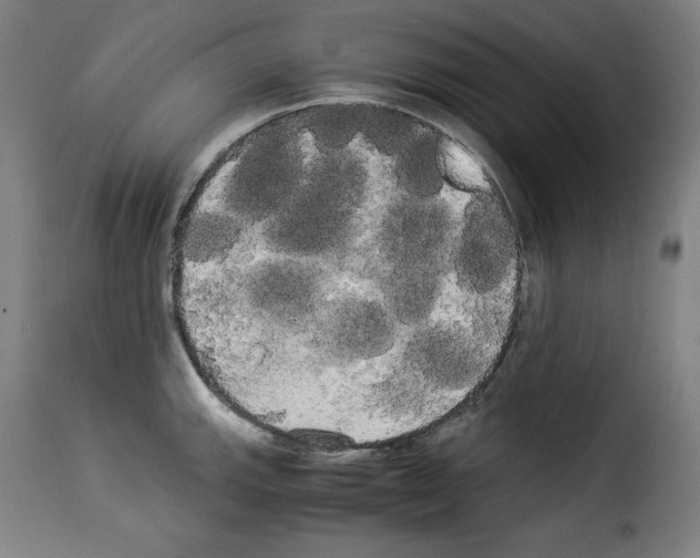 X0000114191143200911200930