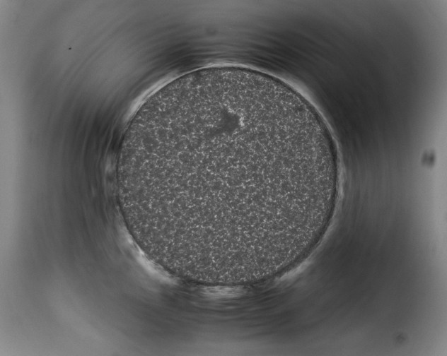 X0000114191145200911200930