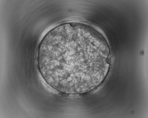 X0000114191146200911200930