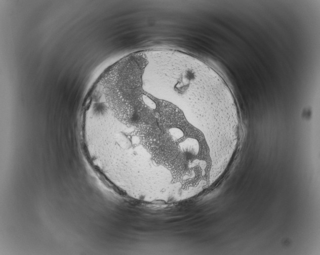 X0000114191149200911200930