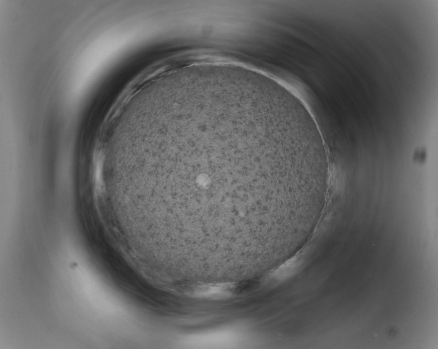 X0000114191150200911200930