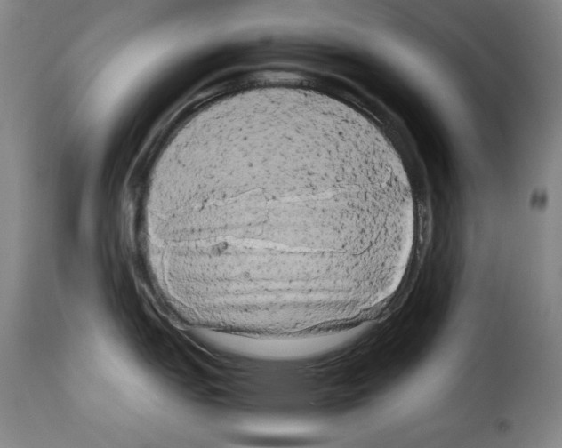 X0000114191151200911200930