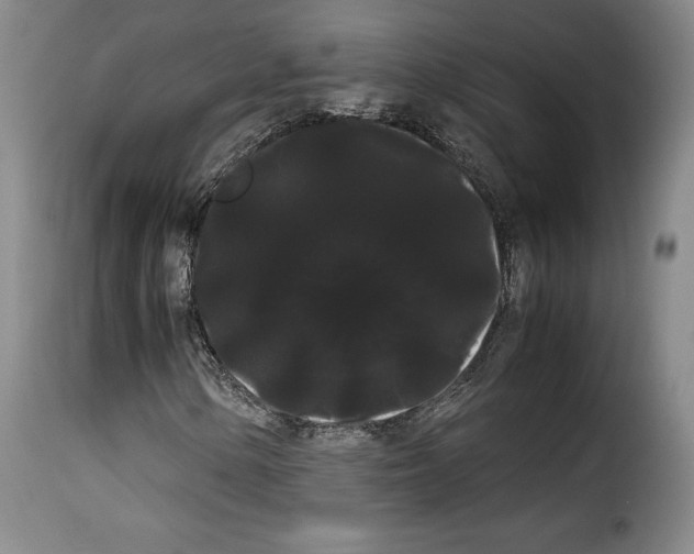 X0000114191154200911200930