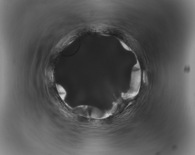 X0000114191155200911200930