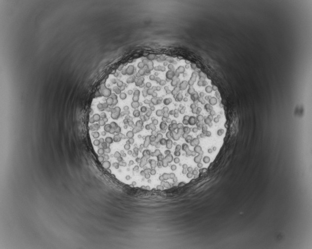 X0000114191156200911200930