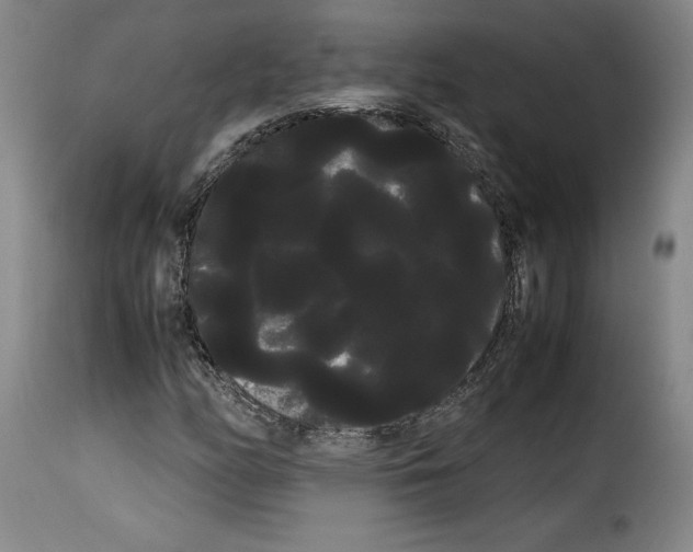 X0000114191158200911200930