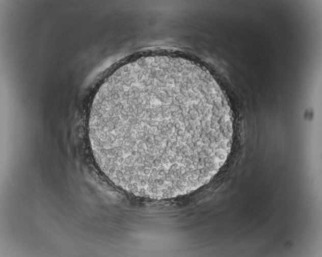 X0000114191159200911200930