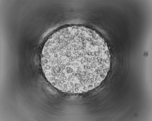 X0000114191160200911200930