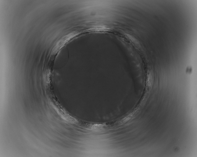 X0000114191161200911200930