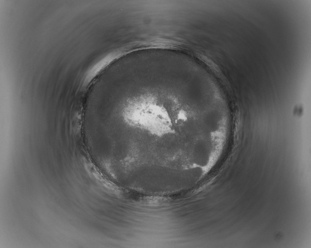 X0000114191163200911200930