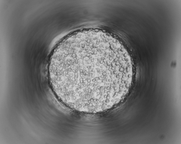 X0000114191164200911200930