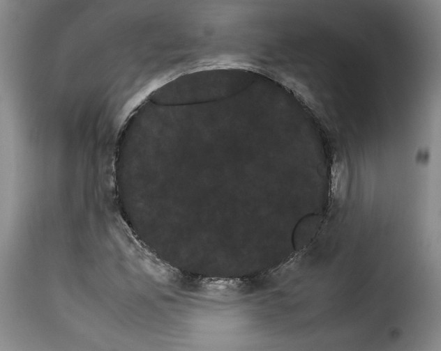 X0000114191165200911200929