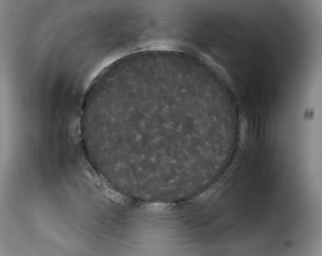 X0000114191166200911200929