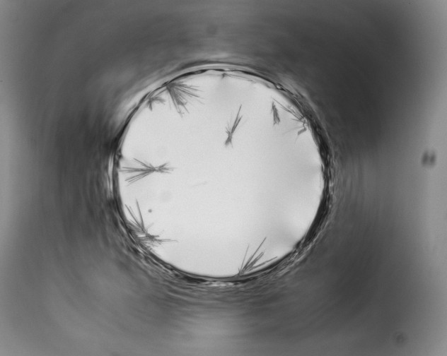 X0000114191167200911200929