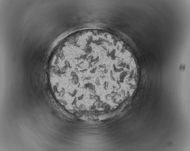 X0000114191168200911200929