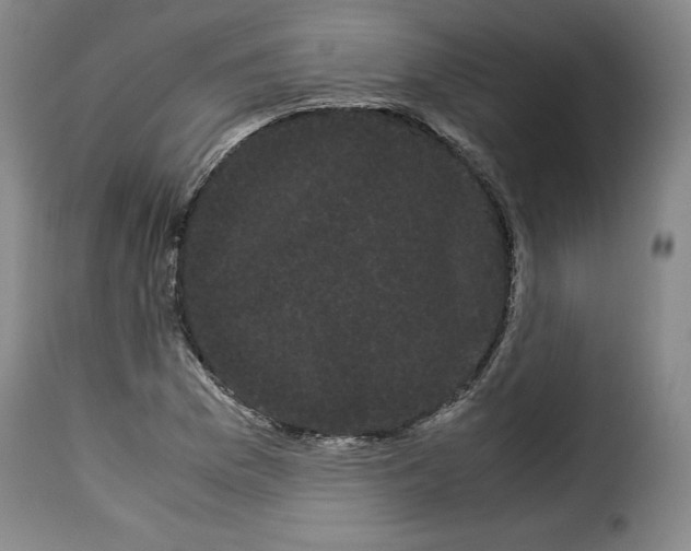 X0000114191169200911200929