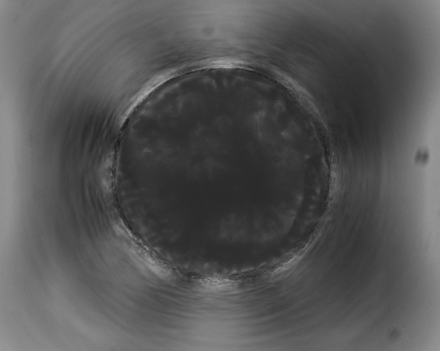 X0000114191170200911200929