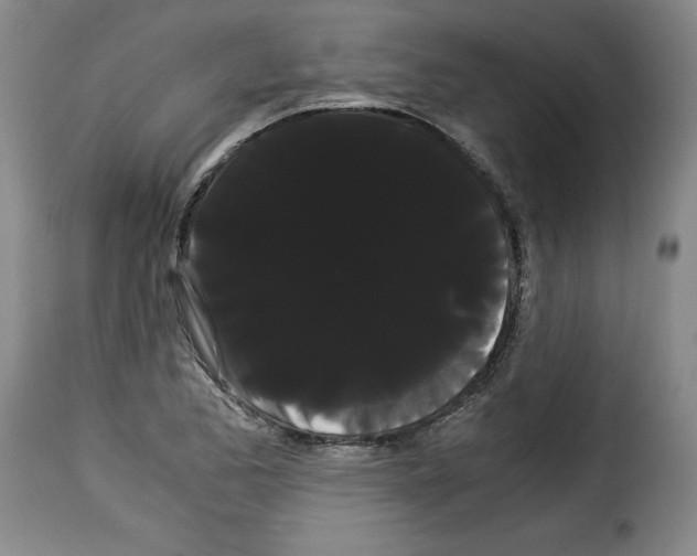 X0000114191173200911200929