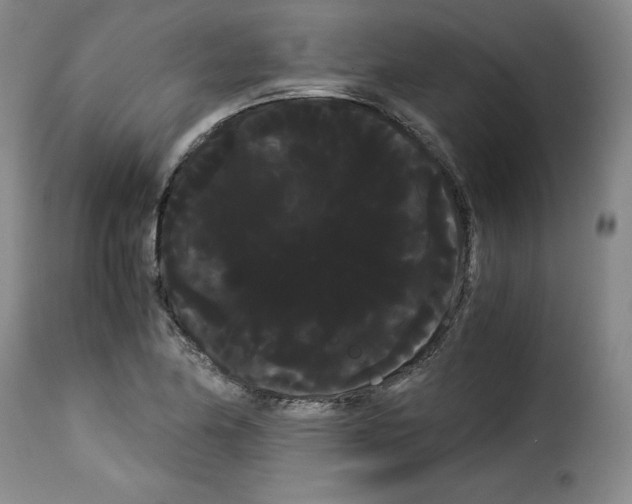 X0000114191174200911200929