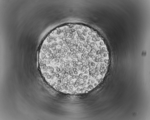 X0000114191175200911200929