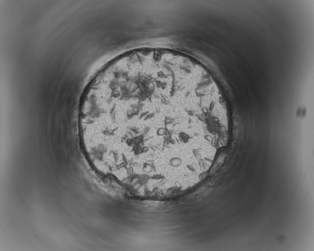 X0000114191176200911200929