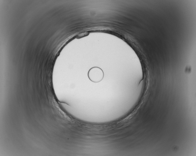 X0000114191177200911200929