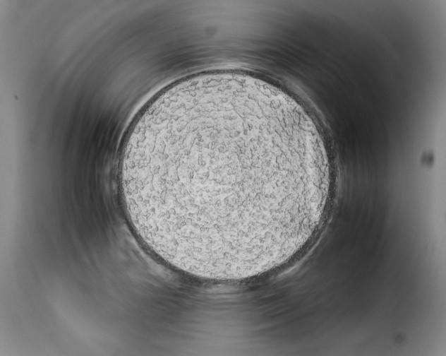 X0000114191178200911200929