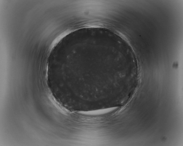 X0000114191179200911200929