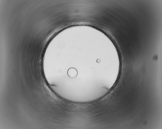 X0000114191181200911200929