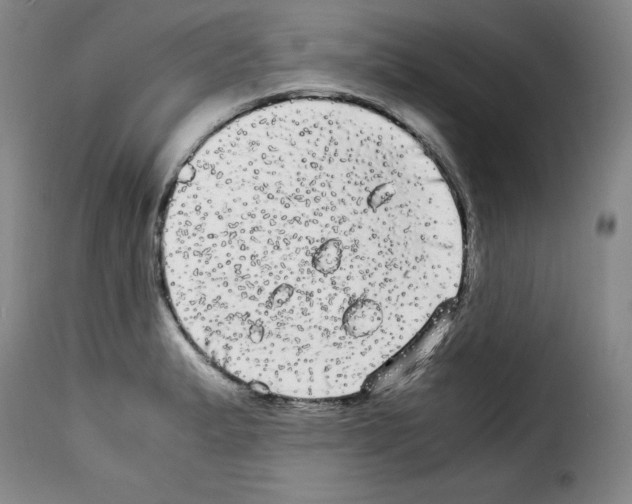 X0000114191183200911200929