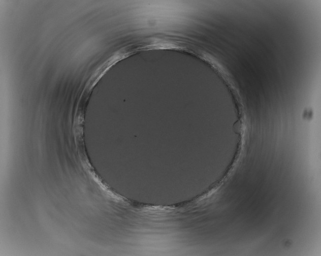 X0000114191185200911200929